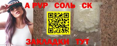 стафф Кингисепп