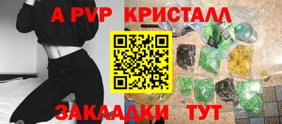 стафф Кингисепп