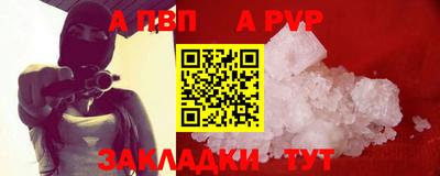 стафф Кингисепп