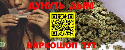 стафф Кингисепп