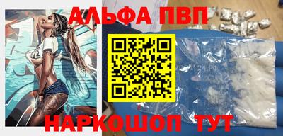 стафф Кингисепп