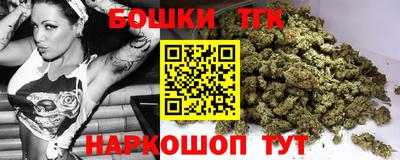 стафф Кингисепп