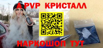 стафф Кингисепп