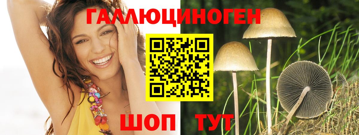где купить наркоту  Галлюциногенные грибы Cubensis  Вход с VPN  Луга  Галлюциногенные грибы GOLDEN TEACHER 