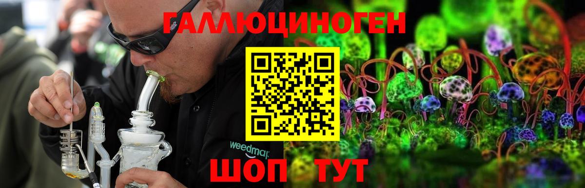 Псилоцибиновые грибы мицелий Луга